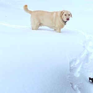 Meet your Posher, Chelsea